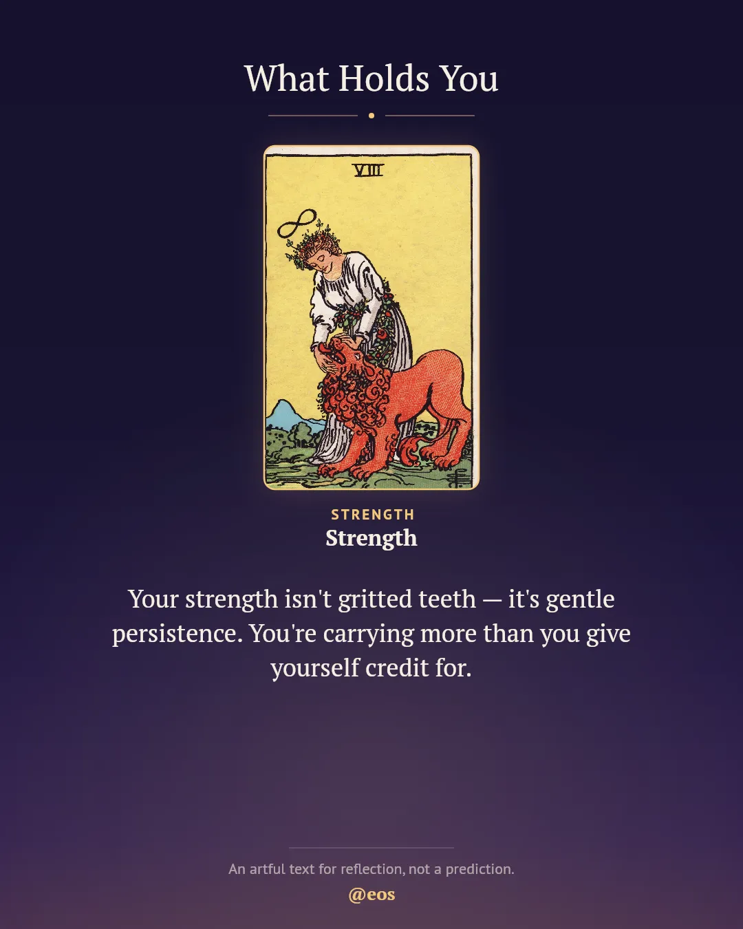 What Holds You reading